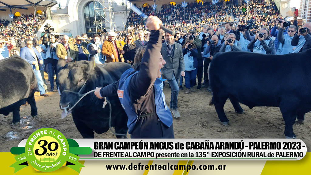 Palermo 2023 -Gran Campeón Angus de Cabaña «Arandú» de Vizzolini