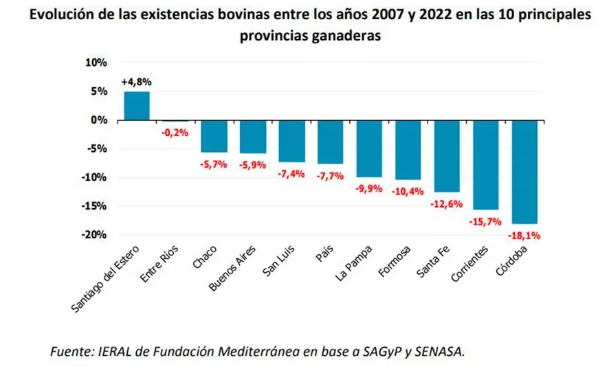 ¿Adiós al país de las vacas y la carne?: En 9 de las 10 principales provincias ganaderas hay menos animales que hace 15 años