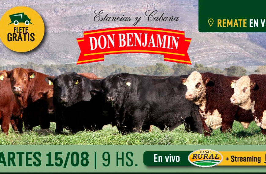 Cabaña «Don Benjamín»: Reproductores Angus y Hereford -Remate del 15-Ag.-2023-