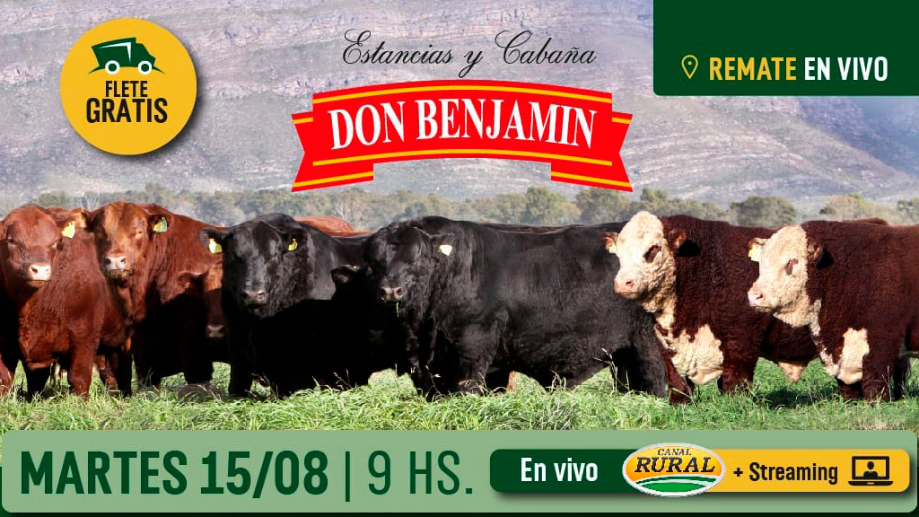 Cabaña «Don Benjamín»: Reproductores Angus y Hereford -Remate del 15-Ag.-2023-