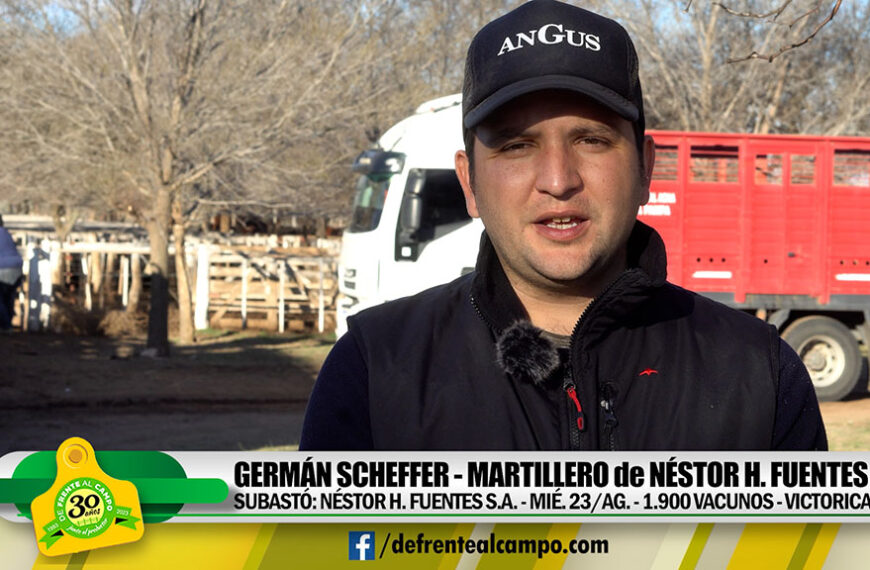 Entrevista: Germán Scheffer – Martillero-