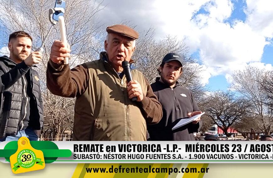 Remate: Néstor Hugo Fuentes S.A. – Mié. 23/Agosto/2023 – Victorica -L.P.-