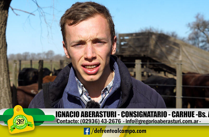 Entrevista: Ignacio Aberasturi – Consignatario –