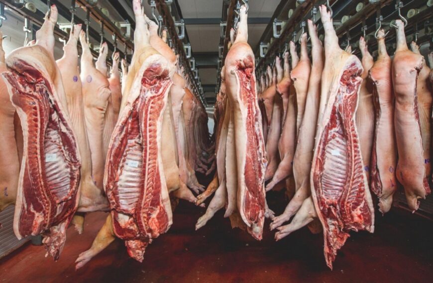 Paraguay : Exportación de carne porcina muestra significativo aumento