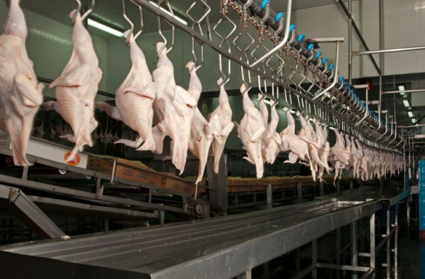 Vietnam reabre su mercado a exportaciones de productos avícolas desde Argentina