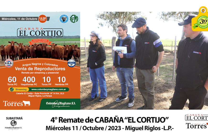 3° Remate de Cabaña «El Cortijo» de Campos de Torres S.A.