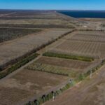Se duplica área productiva de Casa de Piedra: se asignaron 413 hectáreas a 4 nuevos emprendimientos