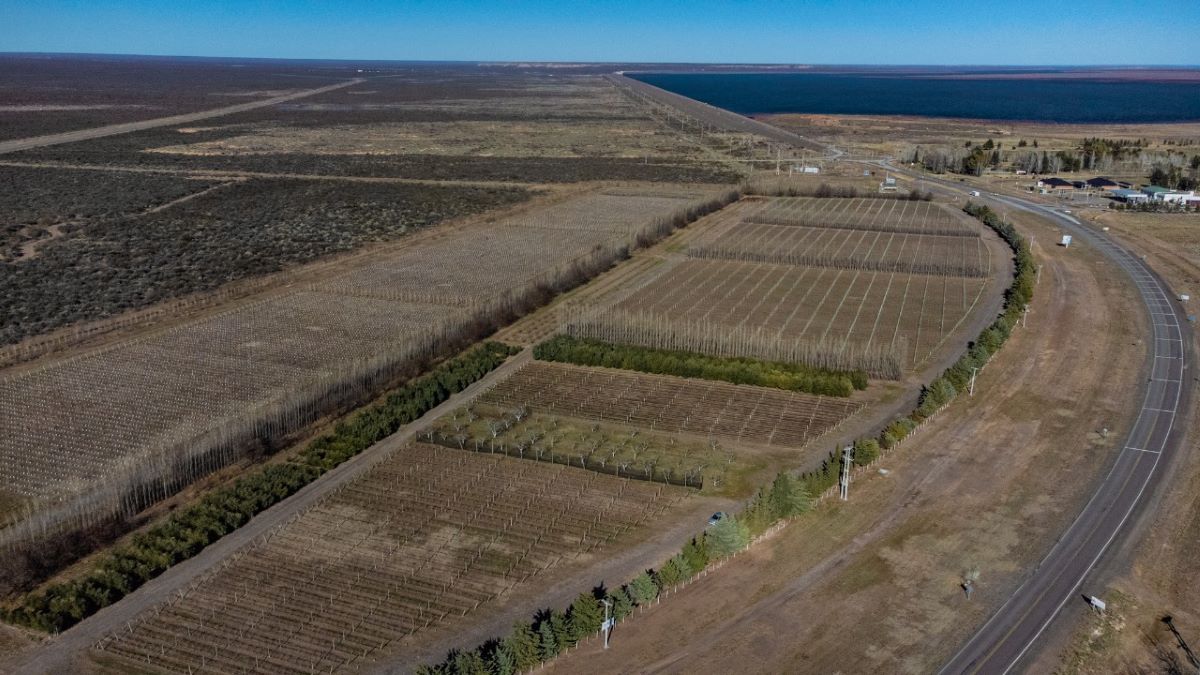 Se duplica área productiva de Casa de Piedra: se asignaron 413 hectáreas a 4 nuevos emprendimientos