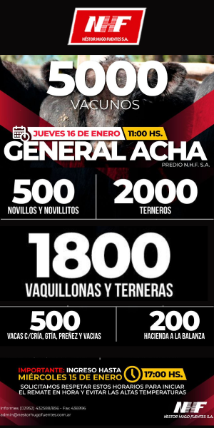 Néstor Hugo Fuentes S.A. | General Acha | Próximo Remate Feria el jueves 16 de enero de 2025