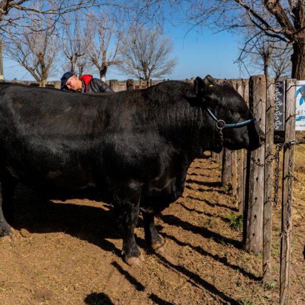 Se inauguró una nueva edición de la Expo Rural en Realicó