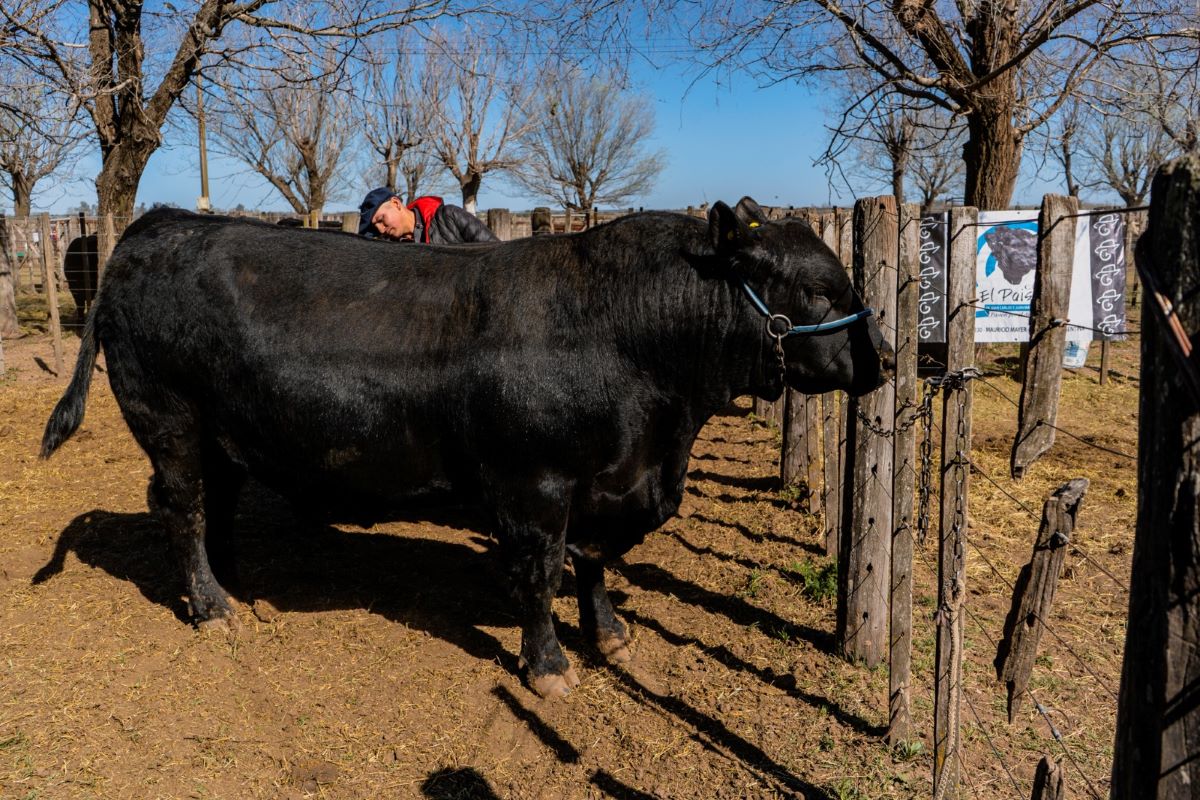 Se inauguró una nueva edición de la Expo Rural en Realicó