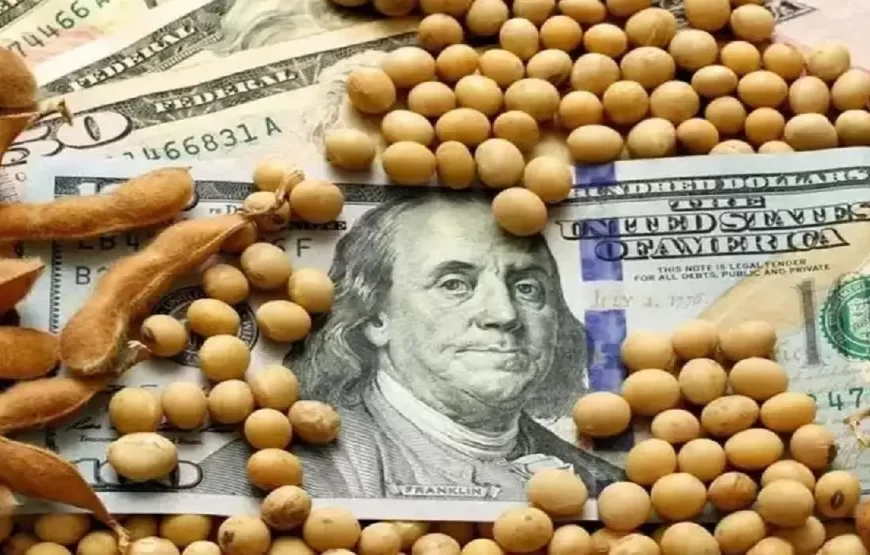 Es oficial el nuevo Dólar Soja con un 25% de «libre disponibilidad» de divisas para los exportadores