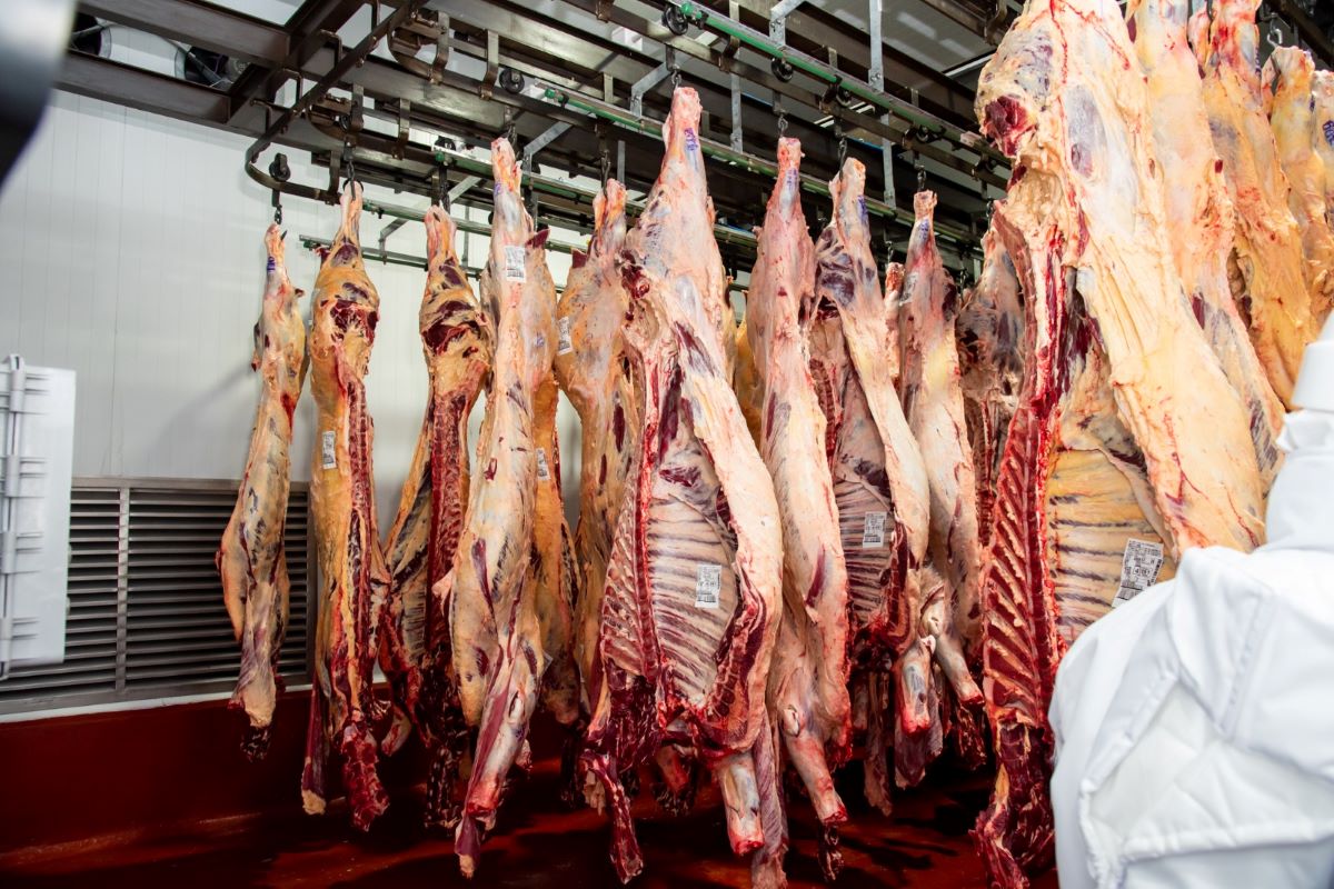 CEO de Frigorífico Gorina vaticina “avidez de compra” por parte de EE.UU, junto con aumentos en el valor de la carne