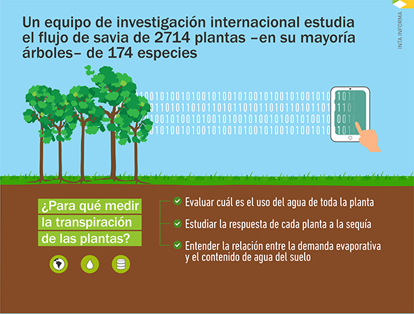 Construyen la primera base de datos sobre la transpiración de las plantas