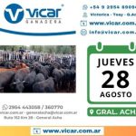 Vicar Ganadera S.A. | General Acha | Próximo Remate Feria el jueves 28 de agosto de 2025