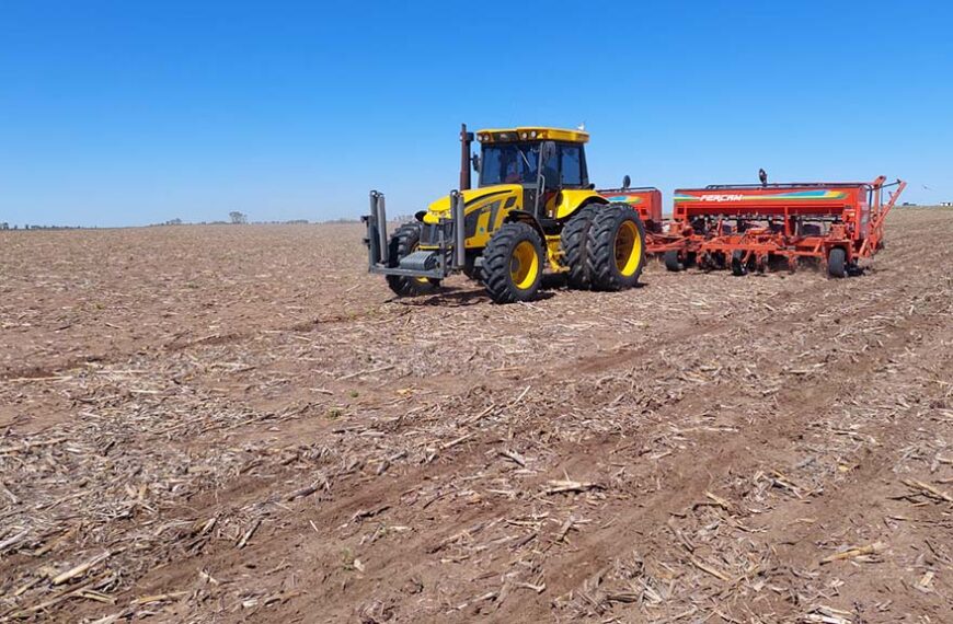 Récord histórico: El maní se expande y alcanza las 450.000 hectáreas en Argentina