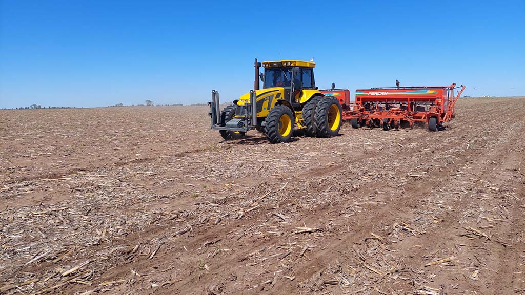 Récord histórico: El maní se expande y alcanza las 450.000 hectáreas en Argentina