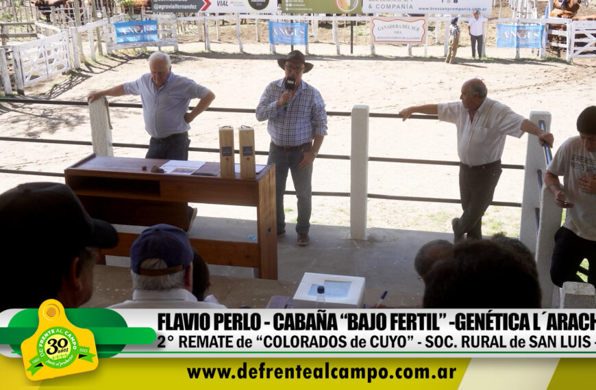 Remate «Colorados del Cuyo» – Cabaña Bajo Fértil – Genética L´arachide-