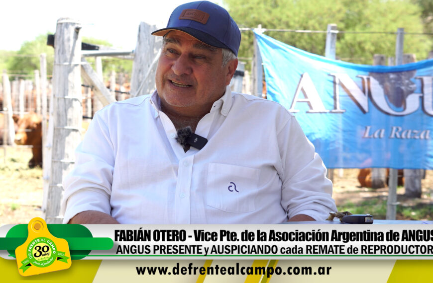 Remate «Colorados del Cuyo» – Fabián Otero –