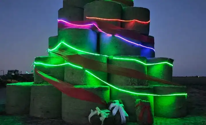 Con rollos de alfalfa armó un árbol de navidad