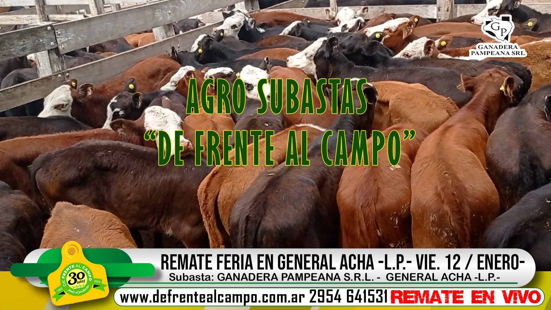 Agro Subastas DFC: Remate de Ganadera Pampeana SRL – Viernes 12/01/24-