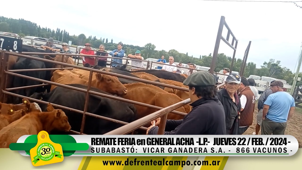 Remate Feria de Vicar Ganadera S.A. – General Acha – L.P. |  22-02-2024