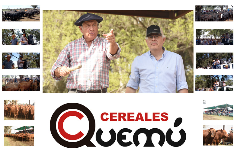 Cereales Quemu S.A.