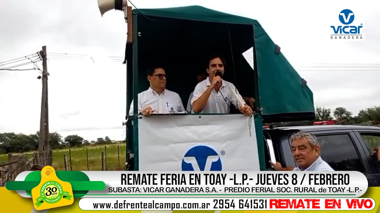 Remate Feria de Vicar Ganadera S.A. – Toay -L.P. |  08-02-2024