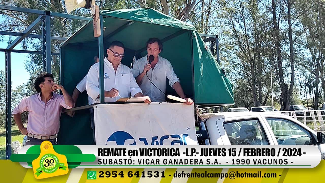 Remate Feria de Vicar Ganadera S.A. – Victorica -L.P. | 15-02-2024