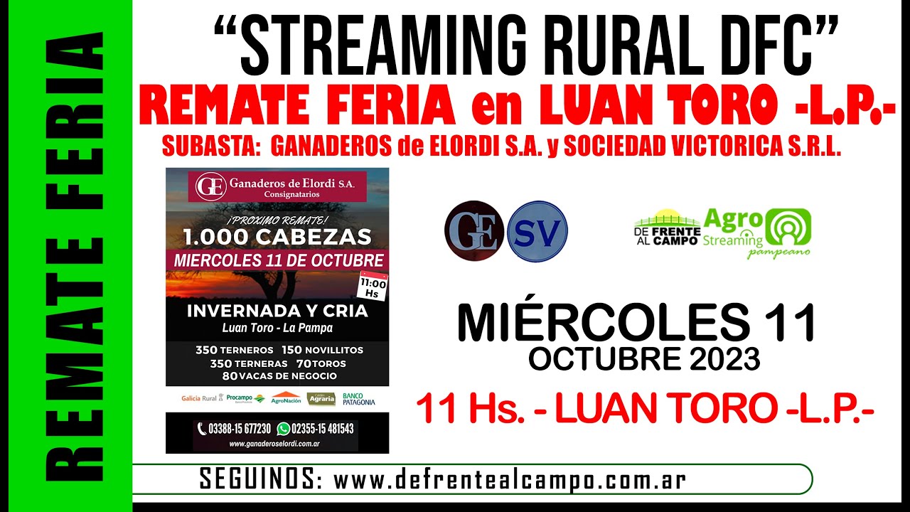 Remate Feria de Ganaderos de Elordi S.A. y Soc. Victorica S.R.L. – Luan Toro L.P. | 11-10-2023