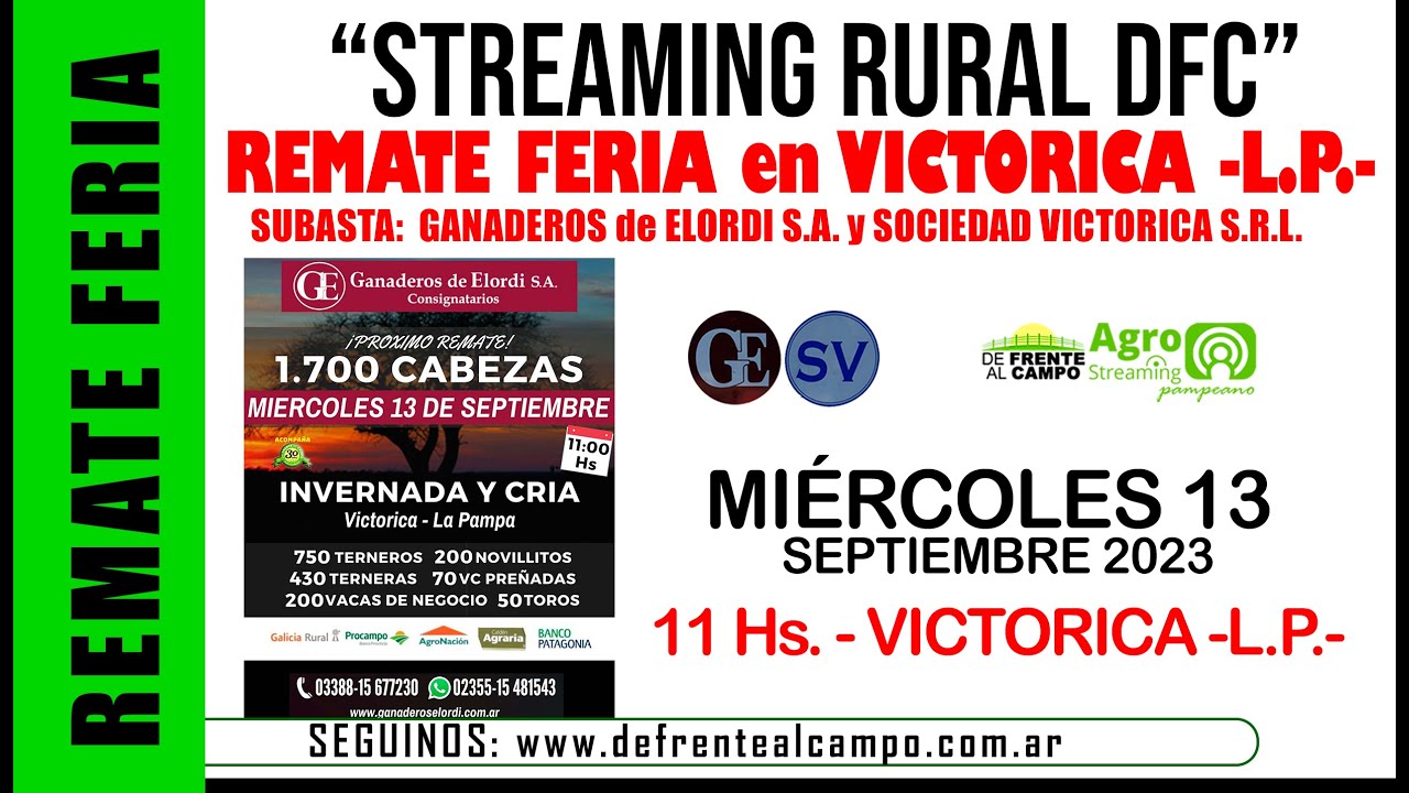 Remate Feria de Ganaderos de Elordi S.A. y Soc. Victorica S.R.L. – Victorica L.P. | 13-09-2023