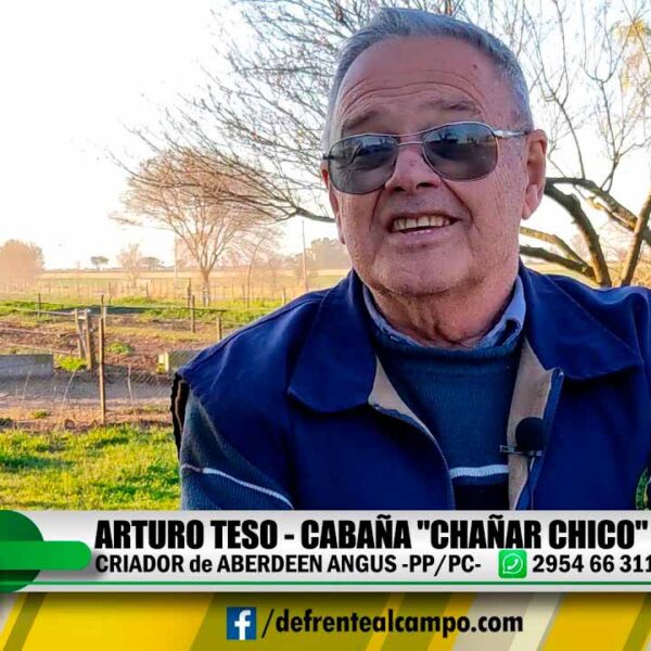 Cabaña «Chañar Chico»