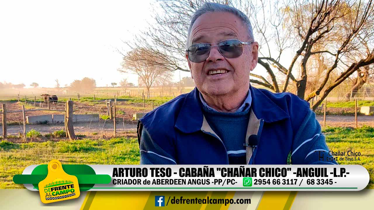 Cabaña «Chañar Chico»