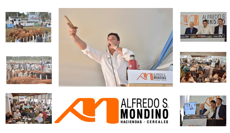 Alfredo S. Mondino