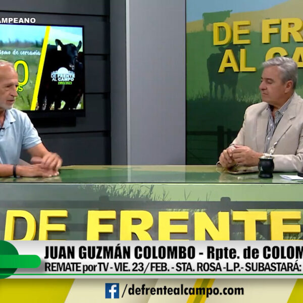 Entrevista: Juan Guzmán Colombo- Remate por TV el Viernes 23 de Febrero