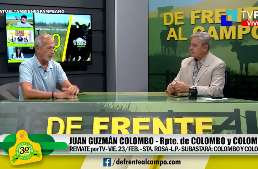 Entrevista: Juan Guzmán Colombo- Remate por TV el Viernes 23 de Febrero