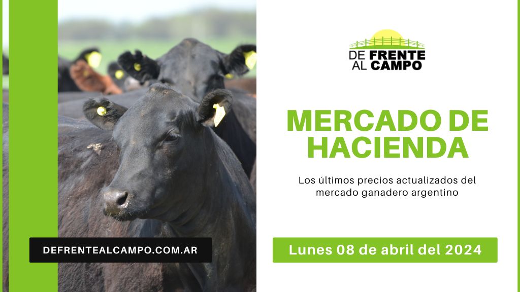 Informe del Mercado Ganadero de Cañuelas: Precios, índices y categorías al lunes 08 de abril de 2024