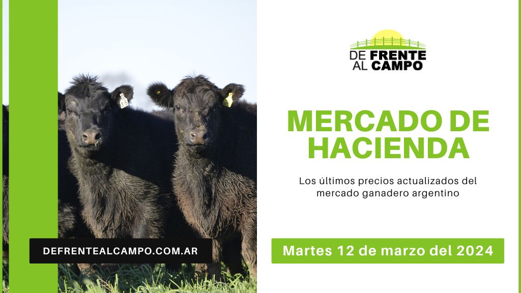 Informe del Mercado Ganadero de Cañuelas: Precios, índices y categorías al martes 12 de marzo de 2024