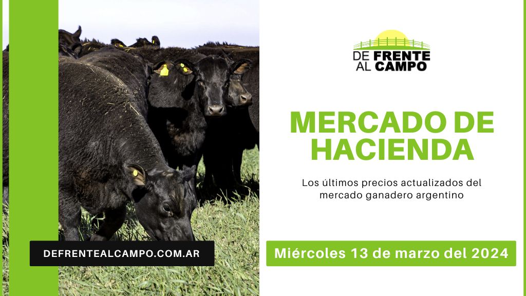 Informe del Mercado Ganadero de Cañuelas: Precios, índices y categorías al miércoles 13 de marzo de 2024