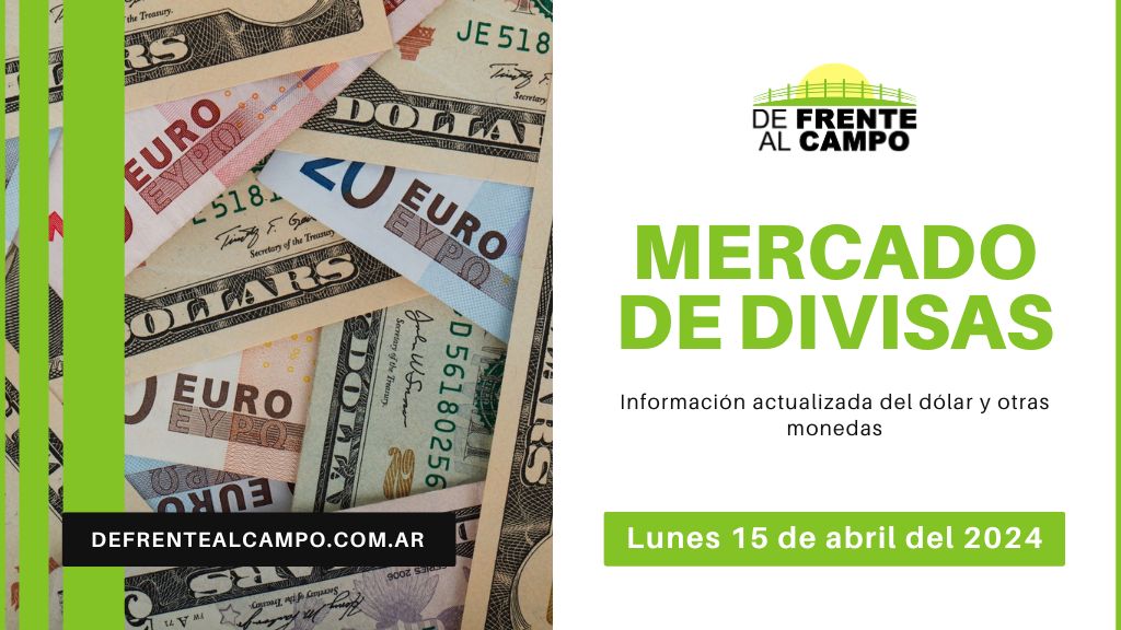 Cotizaciones del día: Lunes 15 de abril de 2024: Dólar y Euro