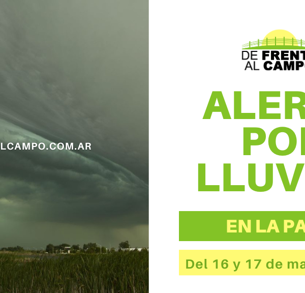 Alerta por lluvias en La Pampa: pronóstico actualizado para los días 16 y 17 de marzo de 2024