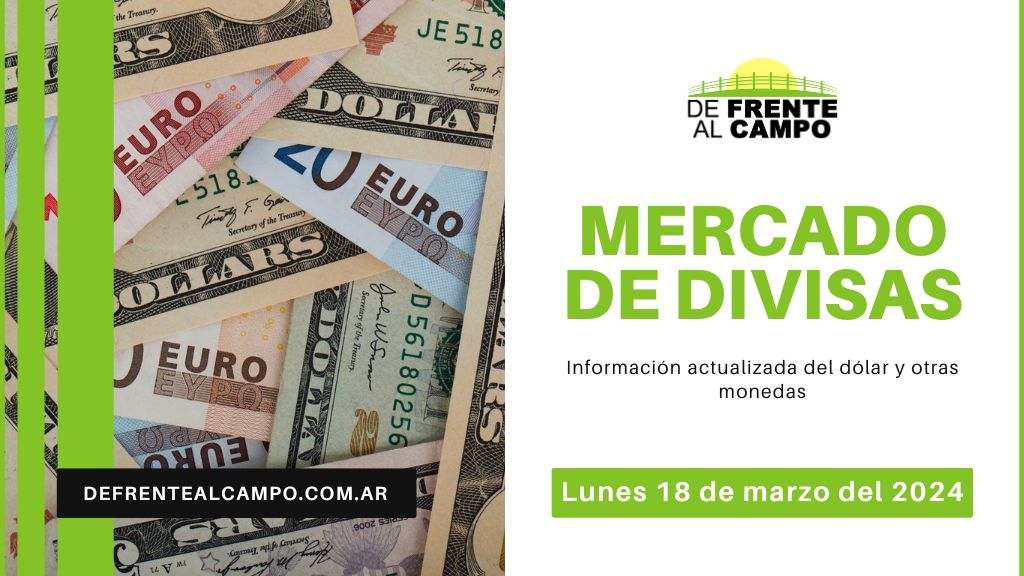 Cotizaciones del día: Lunes 18 de marzo de 2024: Dólar y Euro