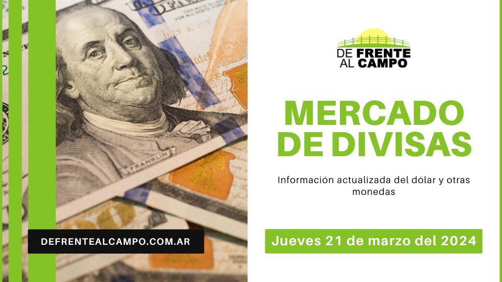 Cotizaciones del día: Jueves 21 de marzo de 2024: Dólar y Euro