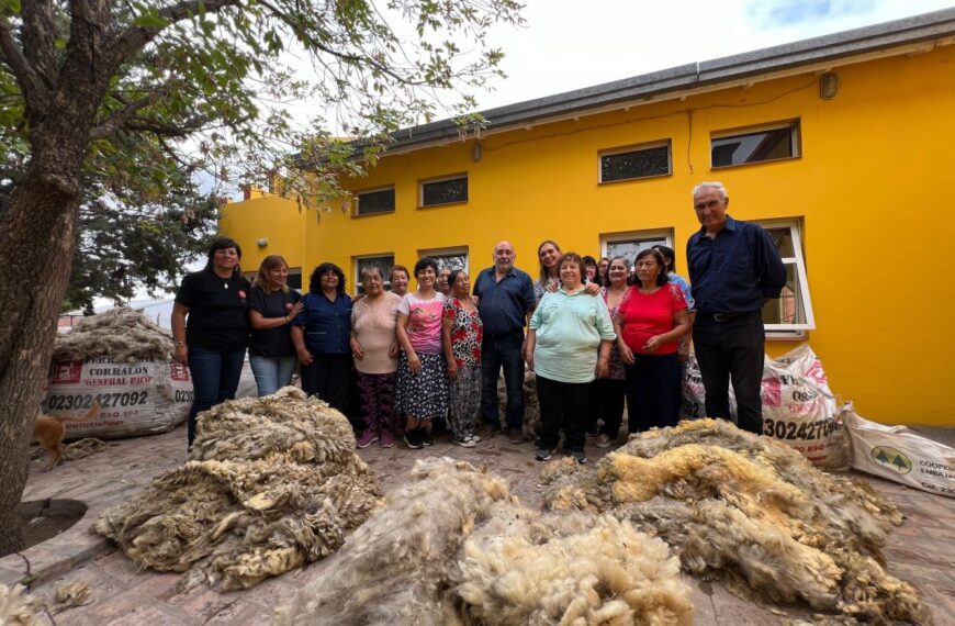 La Facultad de Ciencias Veterinarias donó lana de oveja y fibra de llama al mercado artesanal de la provincia de La Pampa.