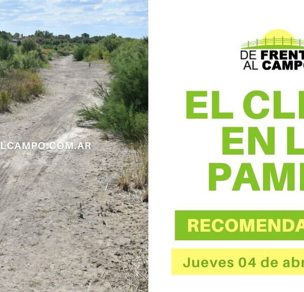 Clima y recomendaciones para hoy jueves 04 de abril de 2024: ¡Prepárate para un jueves soleado y cálido en La Pampa!