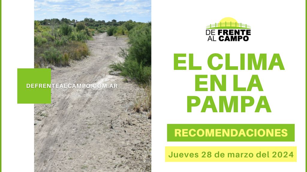 Clima y recomendaciones para La Pampa, hoy jueves 28 de marzo de 2024: Amanecer con niebla con jornada soleada y calurosa