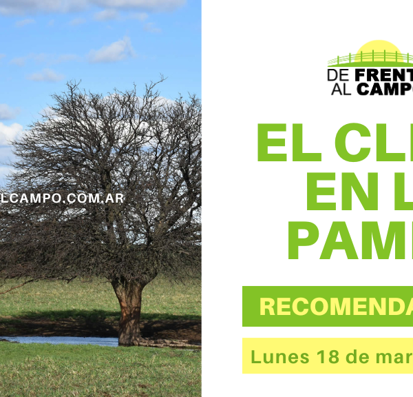 Clima y recomendaciones para La Pampa, hoy lunes 18 de marzo de 2024: ¡Llega el calor a Santa Rosa! Se esperan 27°C para hoy