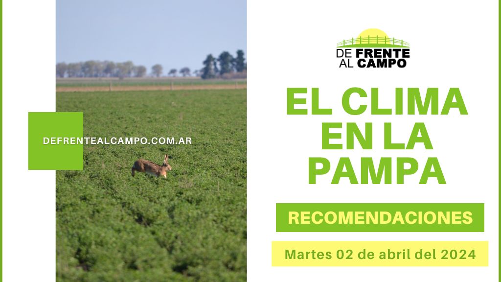 Clima y recomendaciones para La Pampa, hoy martes 02 de abril de 2024: Jornada templada, soleada y con viento del norte