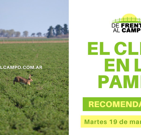 Clima y recomendaciones para La Pampa, hoy martes 19 de marzo de 2024: Jornada inestable con probabilidad de lluvias 