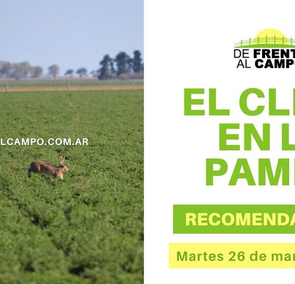 Clima y recomendaciones para La Pampa, hoy martes 26 de marzo de 2024: martes templado y húmedo, con baja probabilidad de lluvias